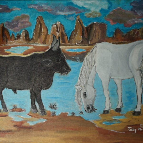 Les camarguais