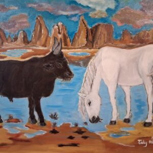 Ocres de Roussillon et camarguais